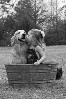 A Girl and her Golden Retriever - Pets