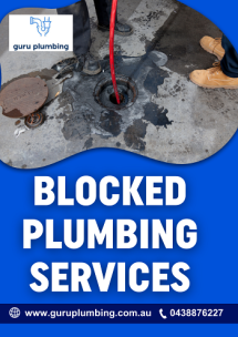 Act Now to Clear Clogs with Blocked Plumbing Services - Plumbing Services