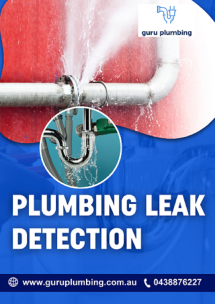 Advanced Plumbing Leak Detection Services Available - Plumbing Services