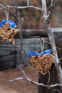 Birdseed Ornaments - Christmas