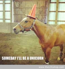 Unicorn - Funny Things