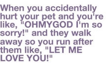 When you accidentally hurt your pet - Funny Things