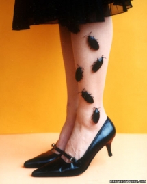 Bugs Crawling up your leg - Hallowe'en Ideas