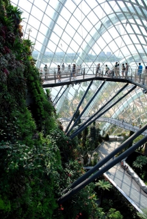 Cloud Forest  - Places i would like to travel