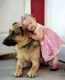 German Shepard with a little girl - Adorable Dog Pics