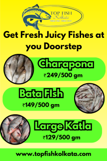 Get Fresh Fishes online in Kolkata - Unassigned