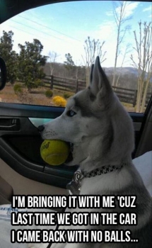 I'm bringing this with me 'cuz last time we got in the car I came back with no balls... - I busted my gut laughing