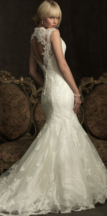 Lace Wedding Dress with Open Back - Wedding Ideas