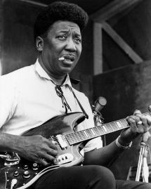 Muddy Waters - Favorite Musicians