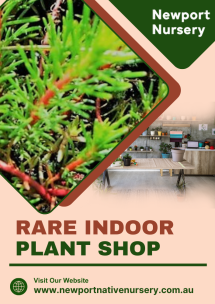 Newport Native Nursery - Native Nursery