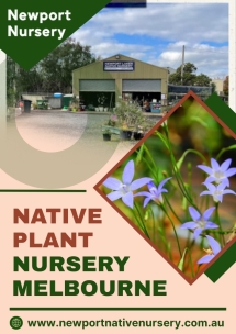Newport Native Nursery - Native Nursery