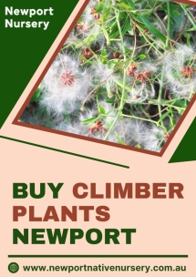 Newport Native Nursery - Native Nursery