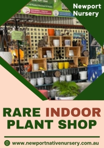 Newport Native Nursery - Native Nursery