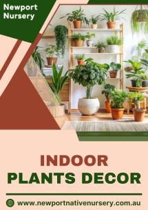 Newport Native Nursery - Native Nursery