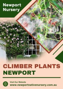 Newport Native Nursery - Native Nursery