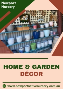 Newport Native Nursery - Native Nursery