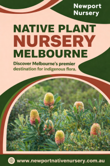 Newport Native Nursery - Native Nursery
