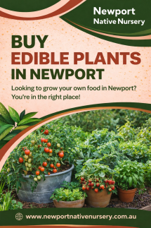 Newport Native Nursery - Native Nursery