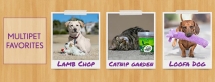 MultiPet - Pet Toys