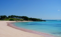 Pink Sand Beach - Harbour Island, The Bahamas - Vacation Spots