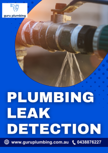 revent Costly Damage with Expert Plumbing Leak Detection - Plumbing Services