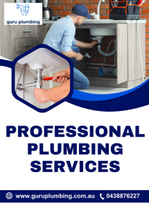 Solve Plumbing Issues Fast with Expert Professional Plumbing Services - Plumbing Services