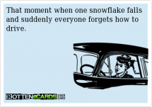 That moment when one snowflake falls & suddenly everyone forgets how to drive. - Now that is funny