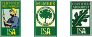 Tree Trimming Company - My team