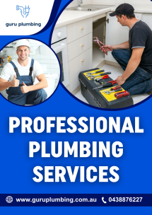 Trust Our Professional Plumbing Services for Lasting Solutions - Plumbing Services