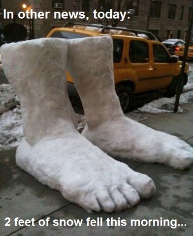 2 feet of snow fell this morning