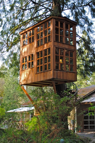 Amazing treehouse