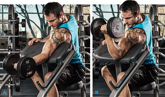 Arm Workouts For Men: 5 Biceps Blasts - Image 2