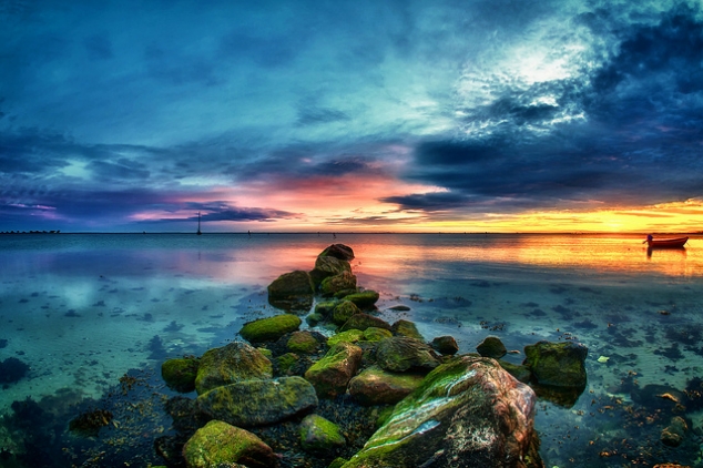 Awesome pictures