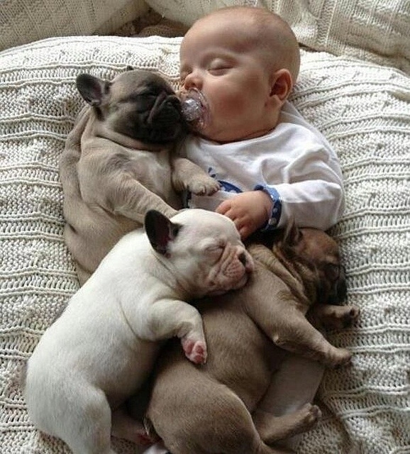 Baby Snuggle