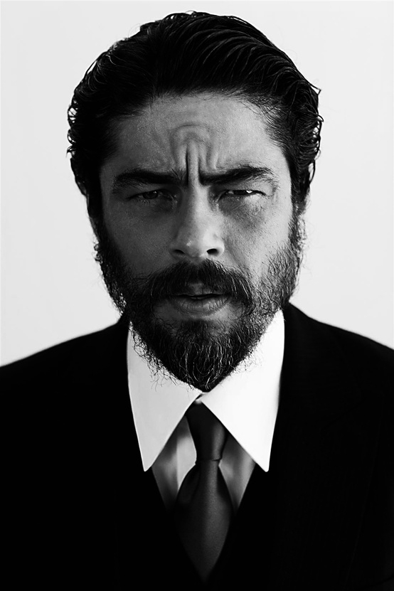 Benicio del Toro