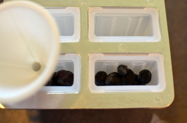 Blueberry Lemon Pudding Pops - Image 2