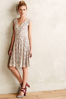 Brushed Lace Dress