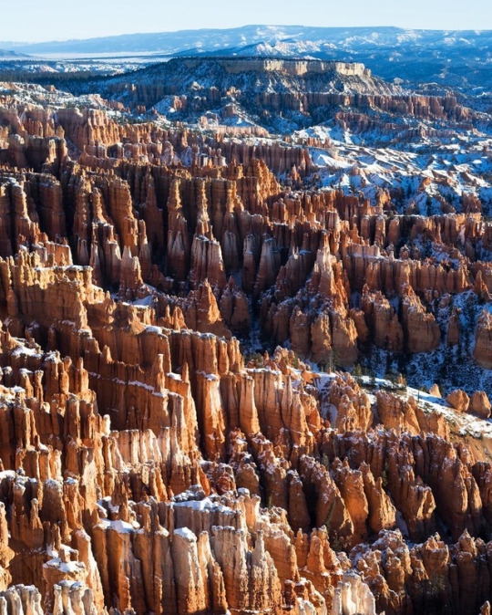 Bryce Canyon  - Image 2