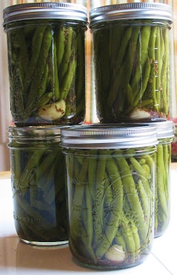 Canning Pickled Green Beans