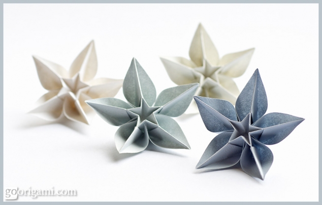 Carambola Flowers - Image 2