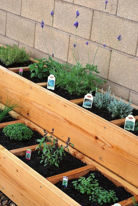 Container Herb Garden - Image 2