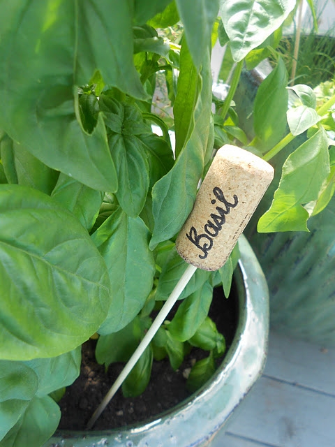 Cork as Plant Labels