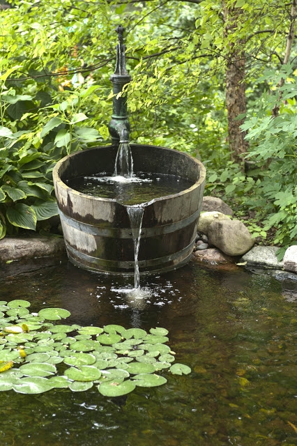 Design Your Dream Pond - Image 2