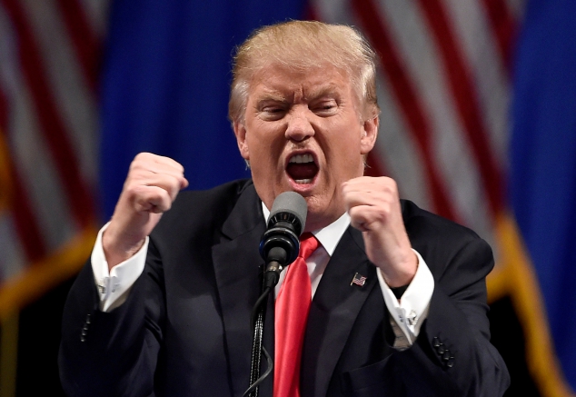 Donald Trump is TIME's 2016 Person of the Year? - Image 2