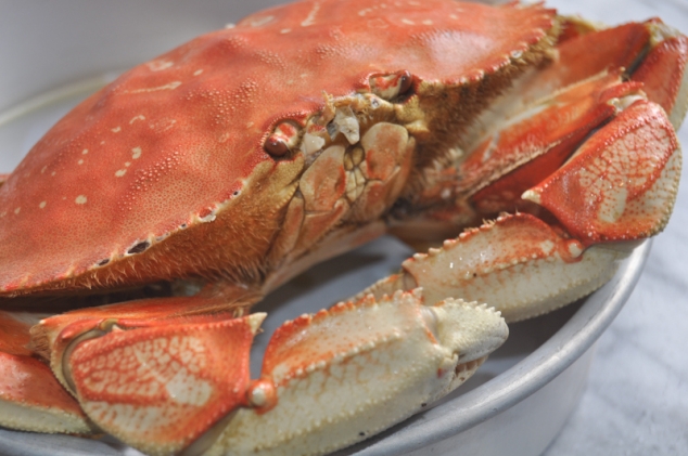 dungeness crab eggs benedict - Image 2