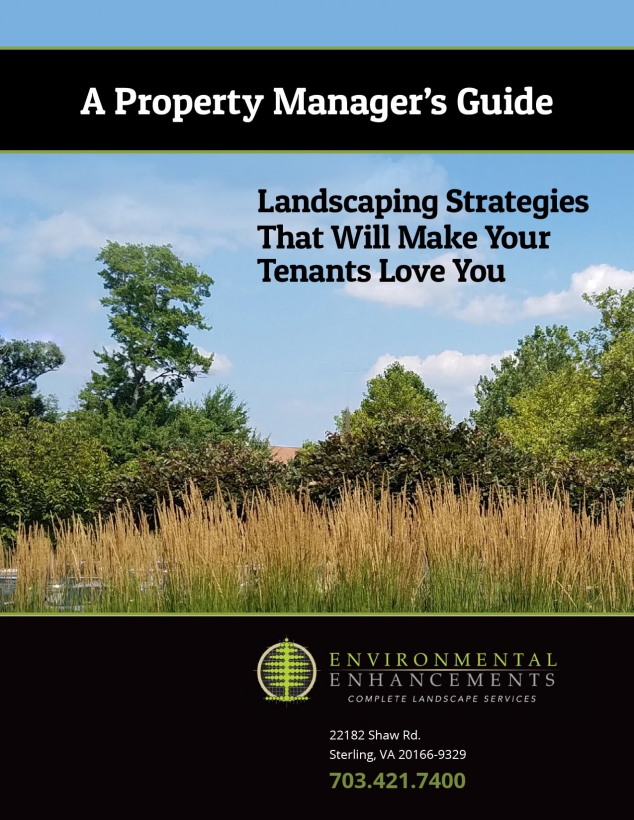 EE Landscaping - Image 2