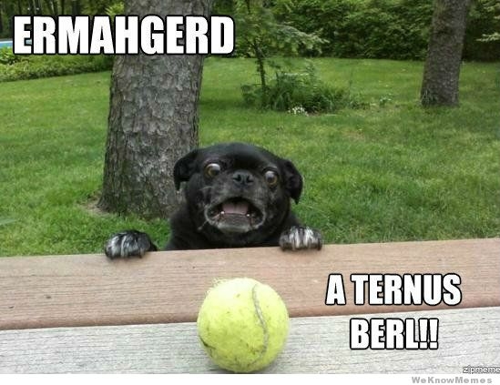 Ermahgerd!