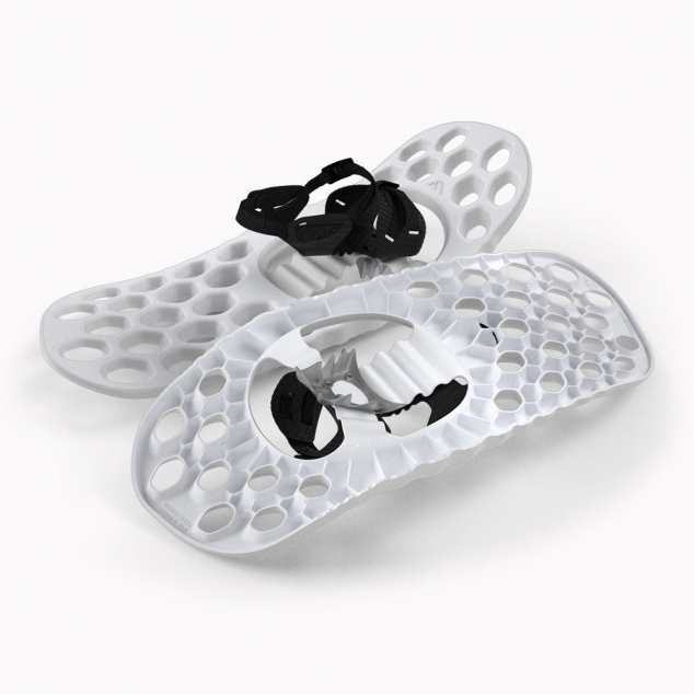 Fimbulvetr Snowshoes