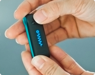 Fitbit - Chic Accelerometer