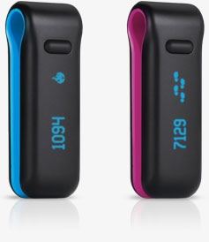Fitbit - Chic Accelerometer - Image 3